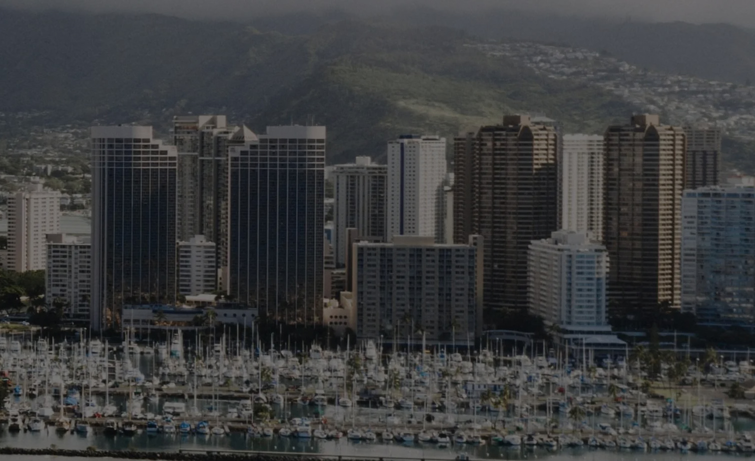 尼维斯公司注册